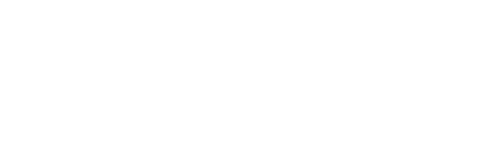 Seals.lk Logo